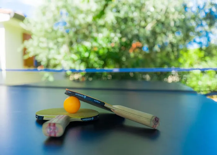 Marina By Interhome Villa Tar-Vabriga